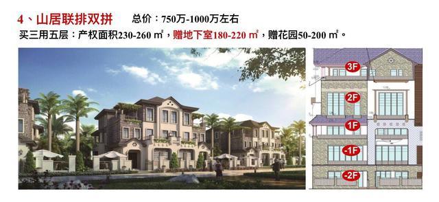 三中三必中一组澳门——聆听大自然的声音,感受生命的律动