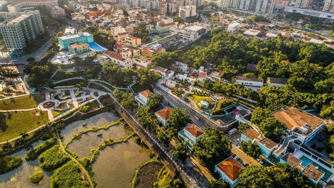 三中三必中一组澳门——聆听大自然的声音,感受生命的律动